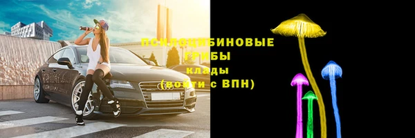 ПСИЛОЦИБИНОВЫЕ ГРИБЫ Верхний Тагил