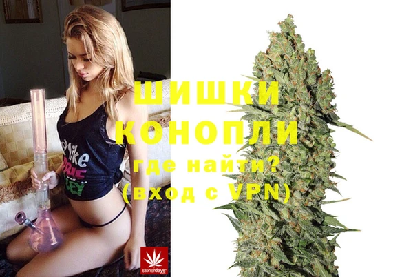 ПСИЛОЦИБИНОВЫЕ ГРИБЫ Верхний Тагил